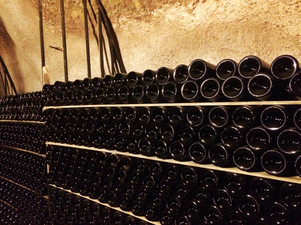 Apartamento Ribera Del Duero Reserva Tubilla del Lago Zewnętrze zdjęcie