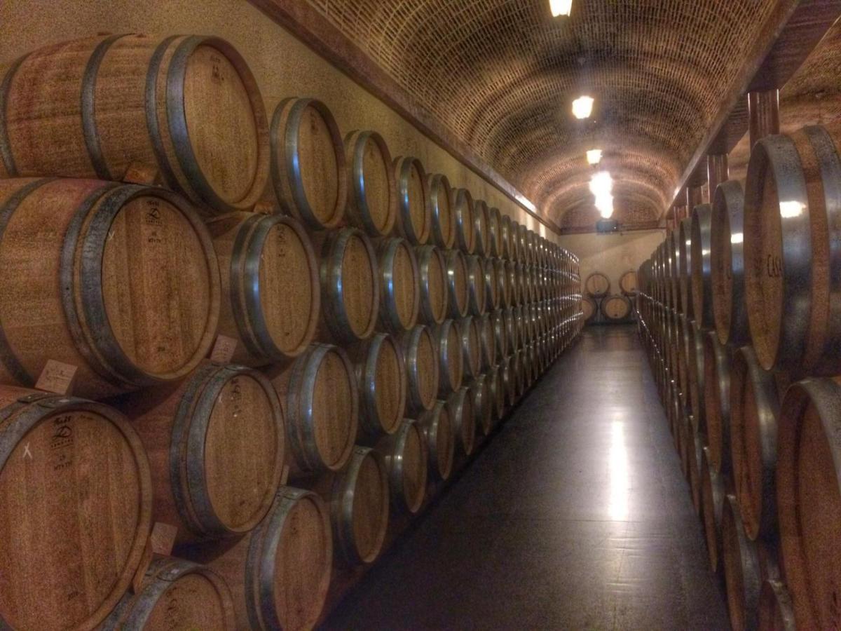 Apartamento Ribera Del Duero Reserva Tubilla del Lago Zewnętrze zdjęcie